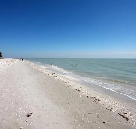 White Sands 12
